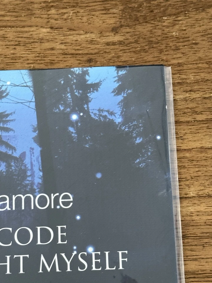 Paramore Decode - Vinyl Singles Day - Urban Outfitters - Haley Williams - Rare - Image 4 of 4