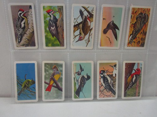 BROOKE BOND (CANADA) - CANADIAN / AMERICAN SONGBIRDS - FULL SET OF 48 CARDS - Picture 2 of 11