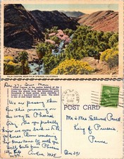 Palm Canyon Near Palm Springs California CA Postcard