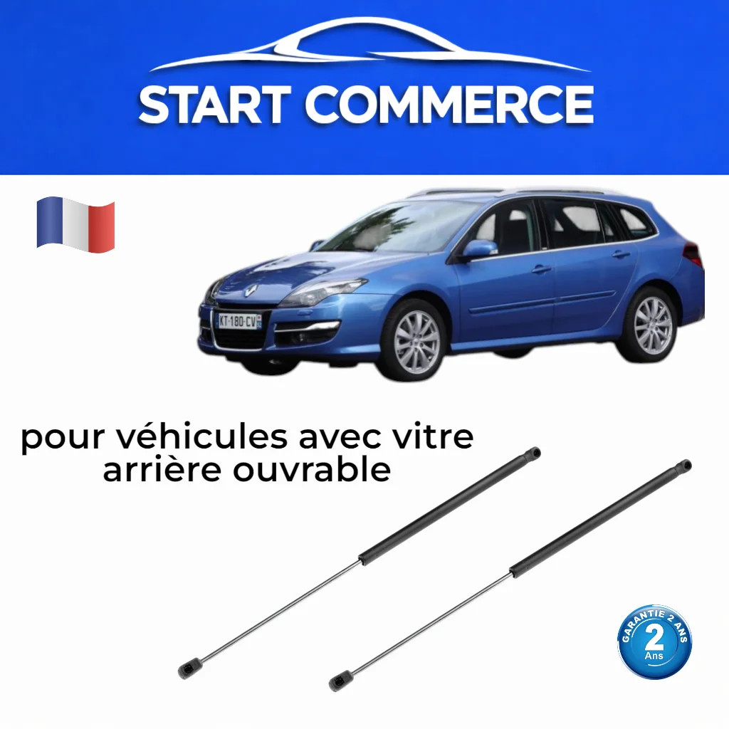 Vérins de coffre Renault Laguna III Break, amortisseur de hayon arrière gaz OE 844300004R