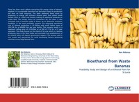 Ken Aldonza | Bioethanol From Waste Bananas | Taschenbuch | Englisch (2010)