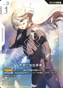 Unforeseen Incident | eBay