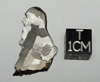 5.37 grams NWA 854 Meteorite Ziz (Iron, IAB complex) Northwest