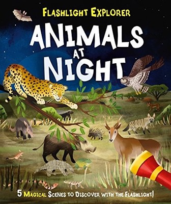Flashlight Explorers Animals at Night: 5 Wild Scenes to Discover
