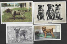 4 Different Vintage BRUSSELS GRIFFON Tobacco/Cigarette Dog Cards