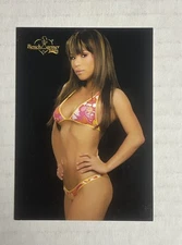 AIKO TANAKA Bench Warmer 2005 Card #50 TV Sexy Model Trading Card