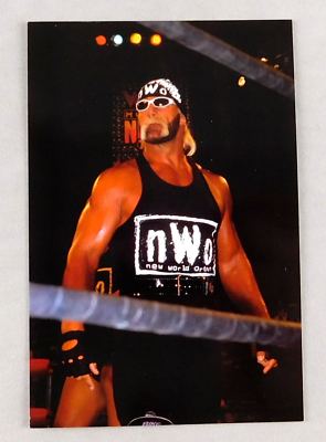 Hollywood Hulk Hogan WCW 4x6 Wrestling Photo Card Wrestler WWE
