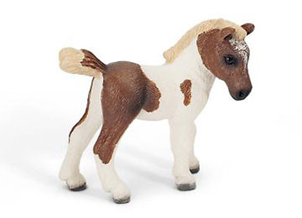 Schleich Farm Life Falabella Foal 13687 For Sale Online Ebay