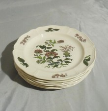 Mandarin v. Wedgwood , 6 Gebäckteller / Brotteller Ø 18,5 cm