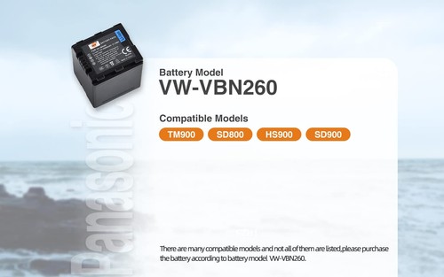 DSTE Batterie de rechange VBN260 Compatible avec VBN260 VBN130 et Panasonic H... - Photo 7/7