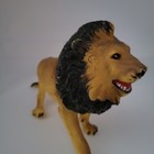 Picture 5 of 8