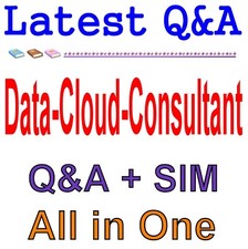 Salesforce Data Cloud Consultant Exam Q A