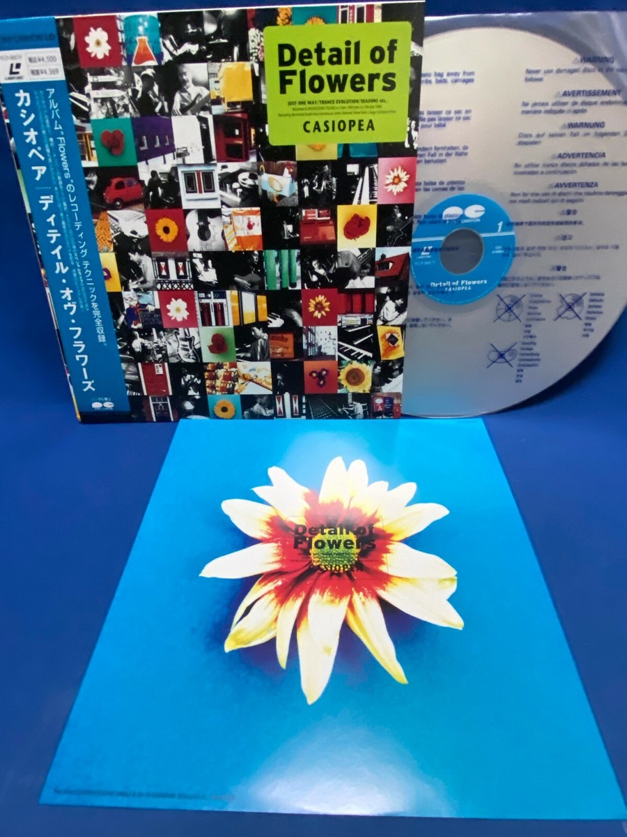 購入者限定　CASIOPEA ANSWERS CDアルバム 購入者限定 CASIOPEA ANSWERS CDアルバム