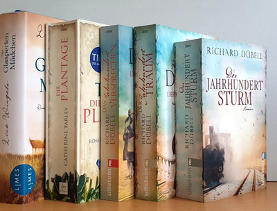 BUCHPAKET+5 BÜCHER Historische Romane+RICHARD DÜBELL+LISA WINGATE+HC+TB+BUNDLE