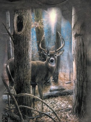 The Mountain Men's T-shirt Gray Ester Park Colorado Deer Woods LT 2XL #2099 NWT