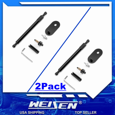 WEISEN (2 PCS) Tailgate Assist Shock For Dodge Ram 1500 2002-2003 04 05 06 07 08