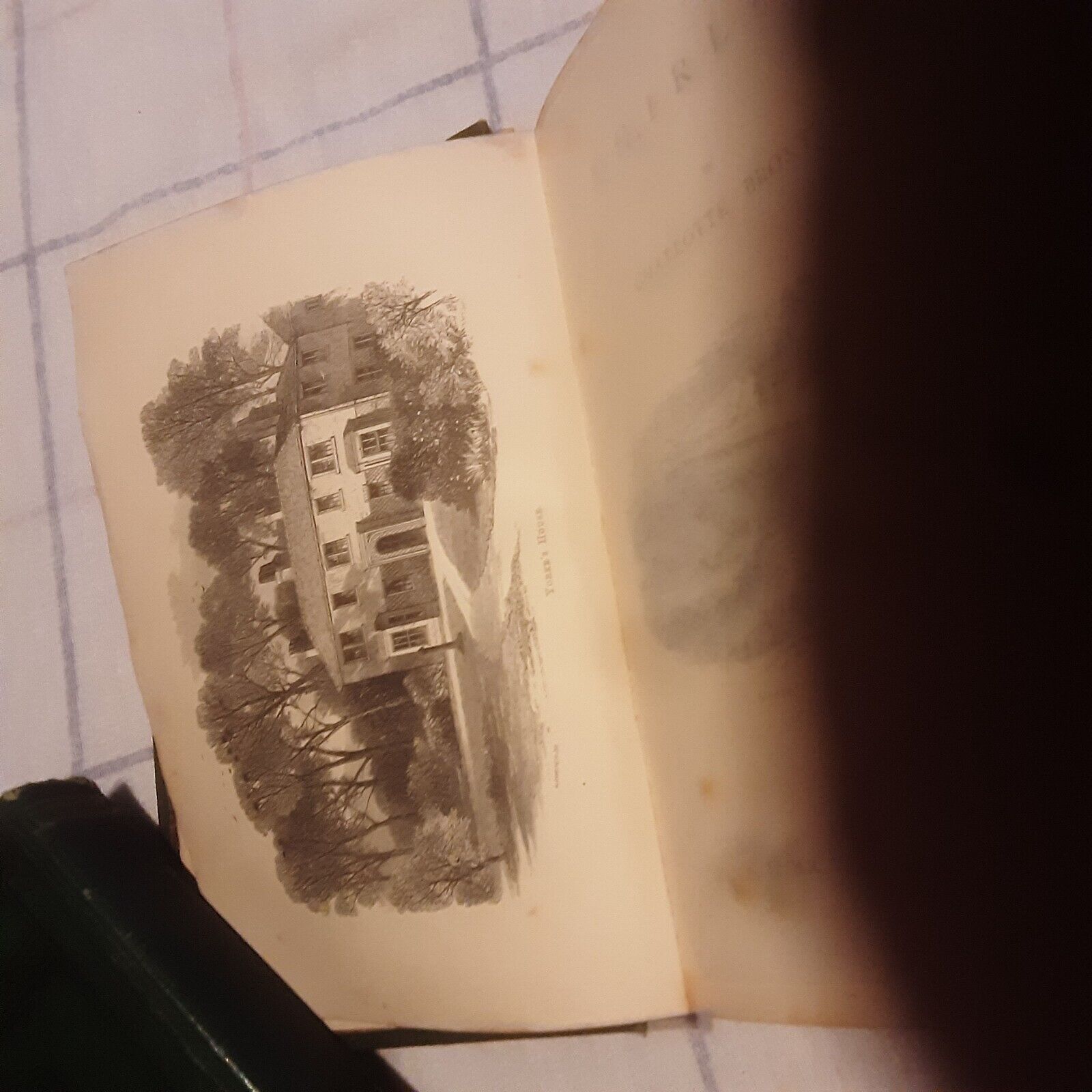 Picture 4 of 12