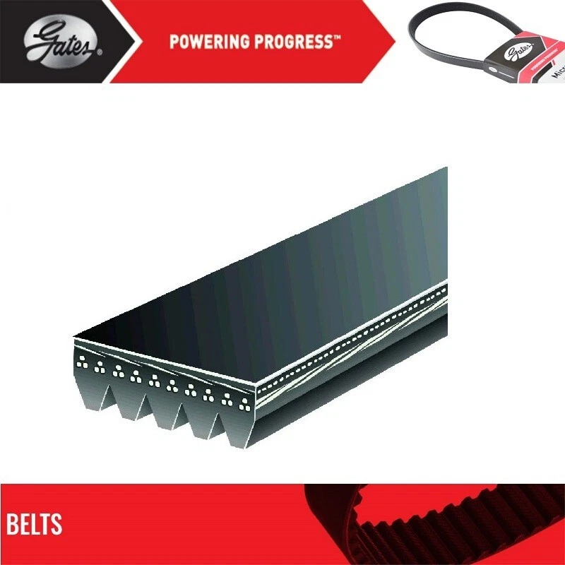 Gates Fan and Alternator Belt For 1997-2003 MITSUBISHI MONTERO SPORT V6-3.0L - Image 2 of 4