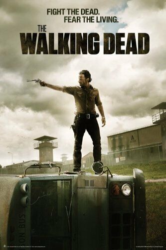 Tampa Mall Walking Dead Poster Rick Grimes Cheap bargain 24x36 3 Jailhouse Season