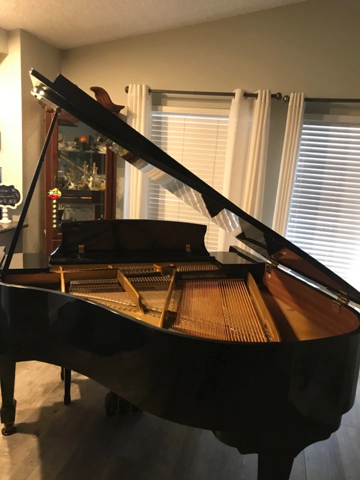 Piano de cola Samick Black Baby en excelente estado Foto 2 de 4