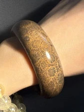 Rare Brown Natural Petoskey Stone/ Silicified Coral Fossil Bangle 55.9mm