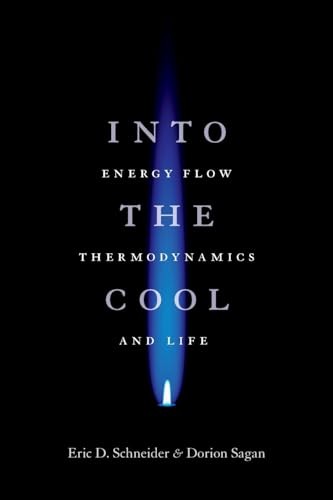 Into the Cool: Energy Flow, Thermodynamics, and Life by Eric D. Schneider NEW - Image 7