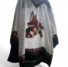 CCM  Daniel Brière Autographed Phoenix Coyotes NHL Hockey Jersey