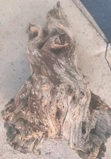 Mesquite Burl, Full Large Burl, Rare Color and Grain.