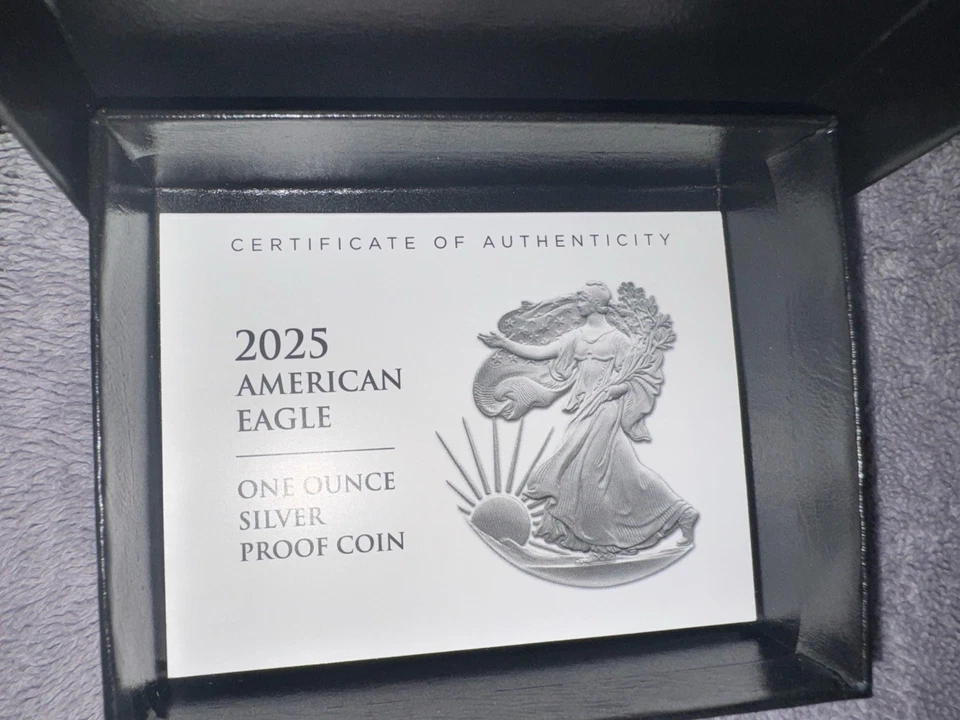 Dólar de plata American Eagle 2025-W prueba de acuñación de Estados Unidos 1 oz .999 OGP/COA Foto 4 de 4