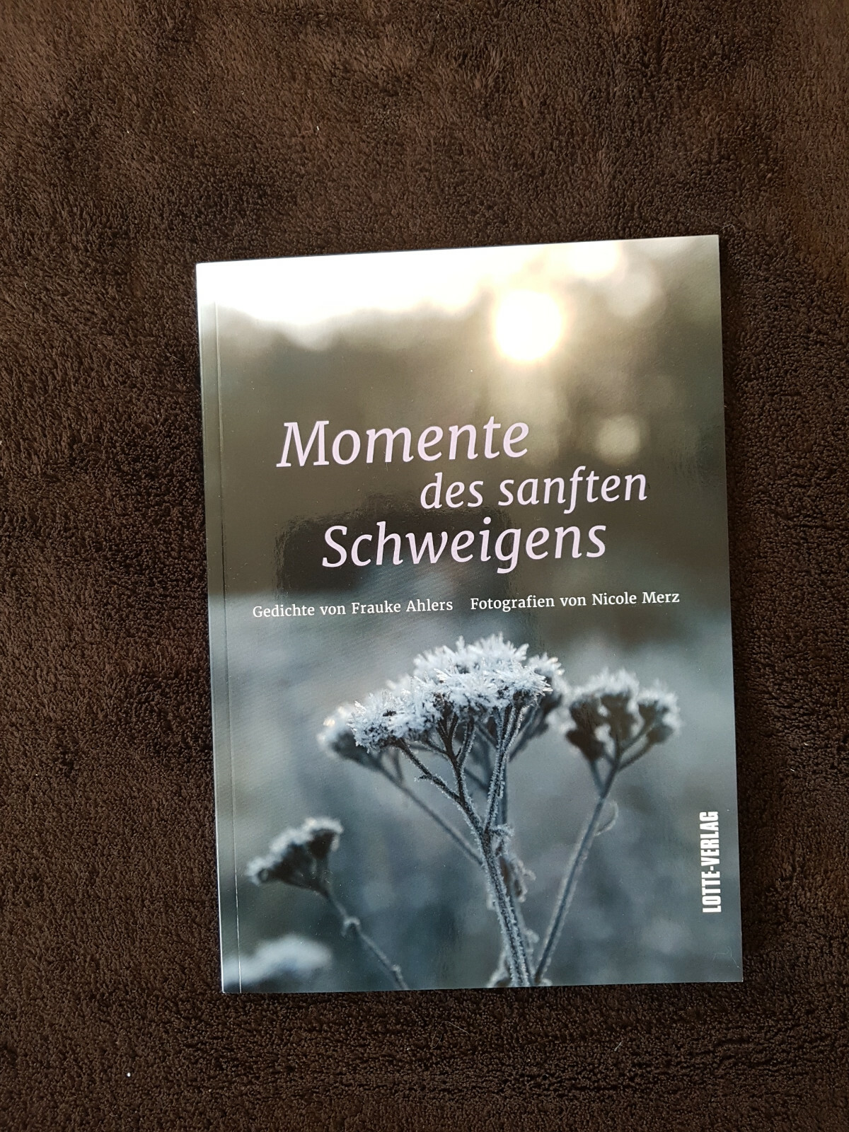 Momente Des Sanften Schweigens Von Frauke Ahlers - Neu