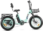 Electric Trike ADDMOTOR M330II 750W 20Ah Rear Motor Fat Tire for Seniors Bicycle