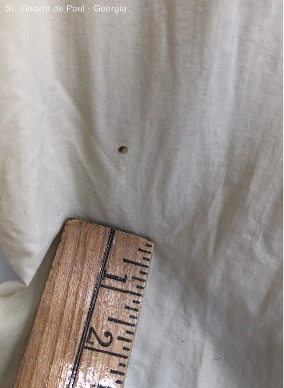 Camisa de pesca World Wide Sportsman amarilla vintage ventilada LS para hombre L exterior Foto 4 de 4