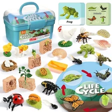 Life Cycle Kit Toy Montessori, Realistic Figurines Set for Kids with 25 Piece...