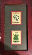 Framed & Matted Antique Chrome-Lithographed CARD SEED Co Packs Herbs 1910 COA