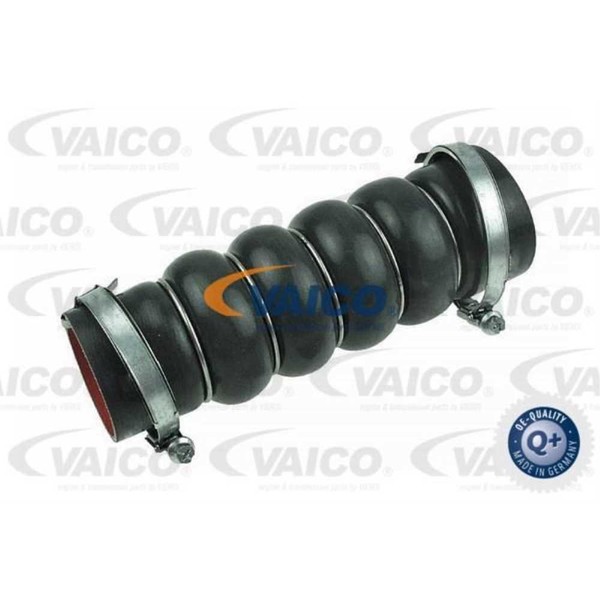 Vaico Ladeluftschlauch FüR Ford C-Max II 1.6 Tdci 1.5 Focus III Turnier-image