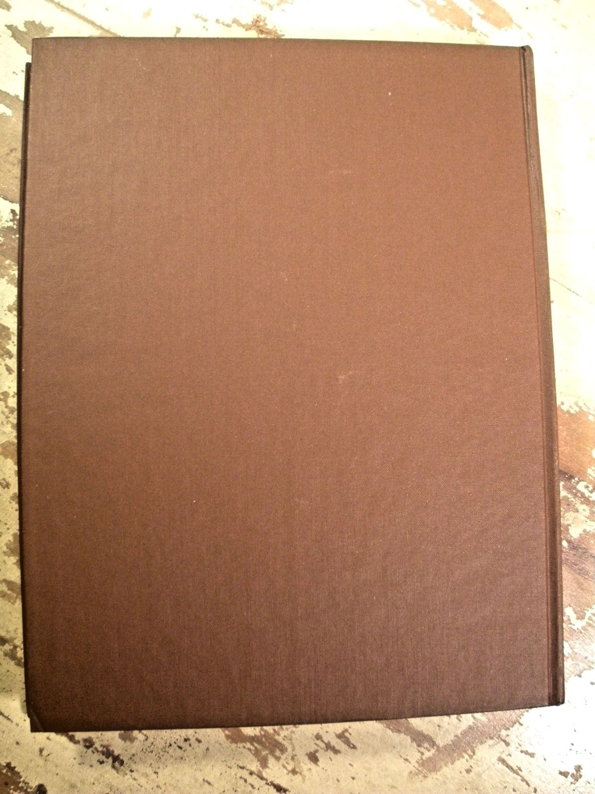 Bild 8 von 24