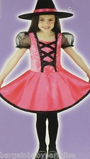 Pink Witch Dress Hat Halloween Costume Dree Up Girls Large