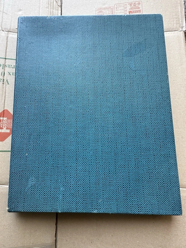 SERVIZIO 12 POSATE DESSERT ARGENTO 800 STILE IMPERO PALETTA CON SCATOLA Solingen - Immagine 2 di 4