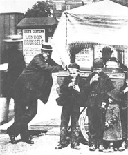 Feeding the Nation: Nutrition and Health in Britain Before World War One (Paperb