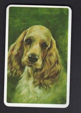 Vintage Swap  Card - Beautiful Cocker Spaniel (BLANK BACK)