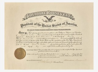 1906 PRESIDENT THEODORE ROOSEVELT SIGNED APPOINTMENT DOCUMENT / DOCUMENT SIGNED