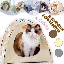 cat tent house