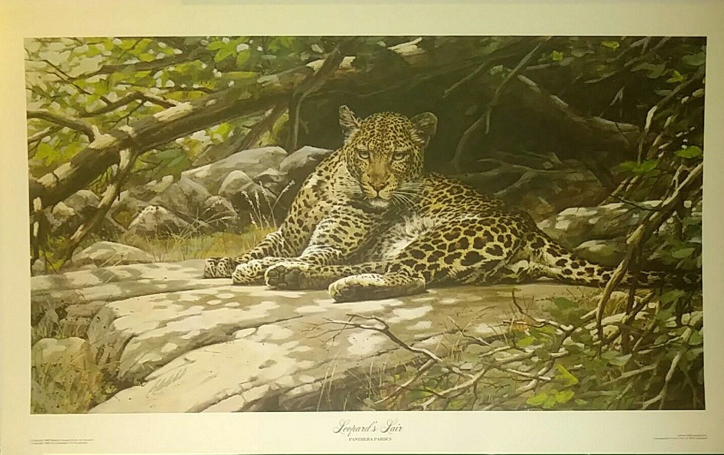 Picture 6 of 9