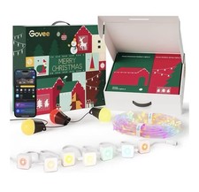 Govee Christmas Lights Set New