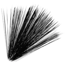  1 Set Simulation Animal Whisker: Needle Felting And Plush Dolls Material -