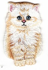 WHITE ANGORA CAT Iron On Patch Cats Pets Animals Kitten