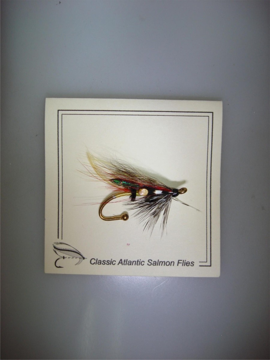 6 WATCHOUT - mouches à saumon, steelhead, truite de mer, truite $27.33
