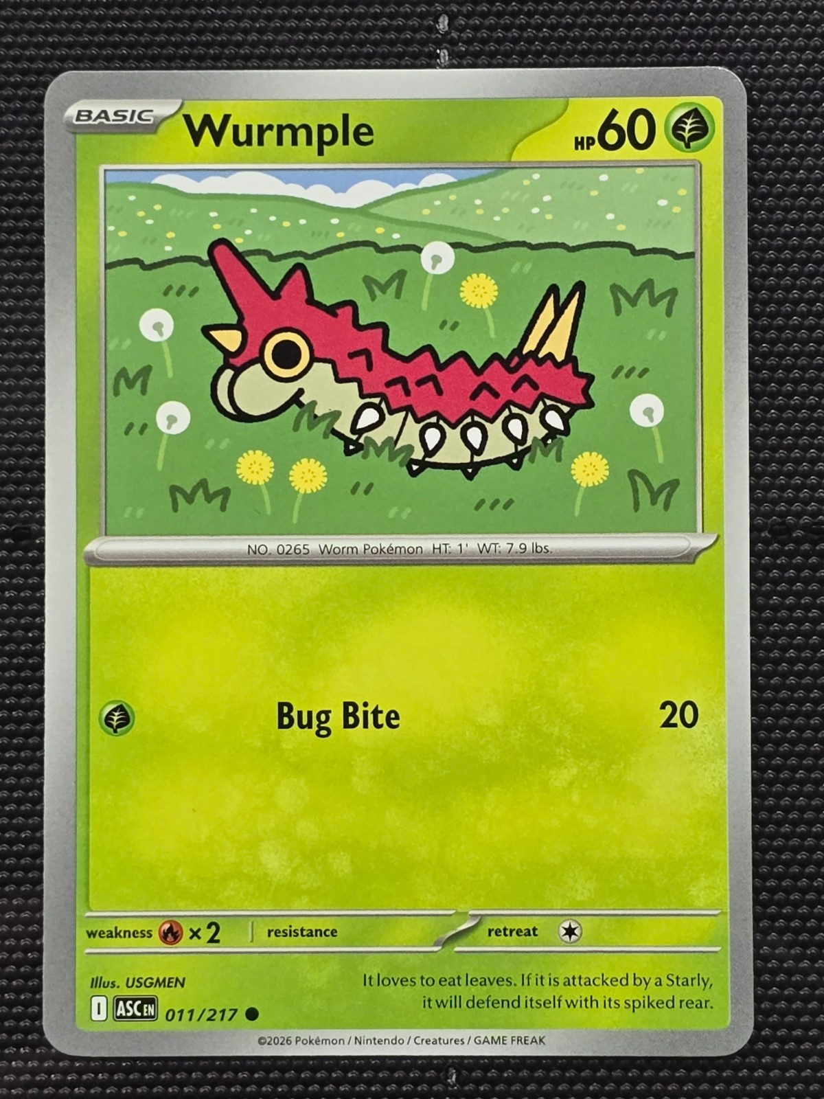 Wurmple 011/217 Common ME: Ascended Heroes Pokemon NM