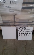 Fliesen 20x20 weiß  Boden und Wand Steinzeug Ausverkauf Schnäppchen Boizenburg