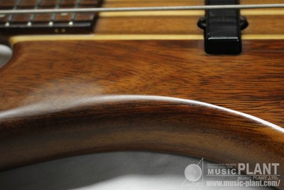 Washburn TAURUS T24 | eBay